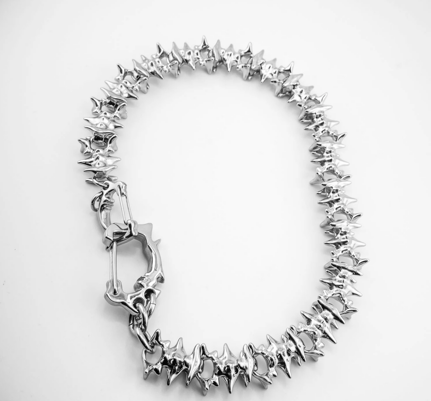 Personal Fears Spinal Link Wallet Chain