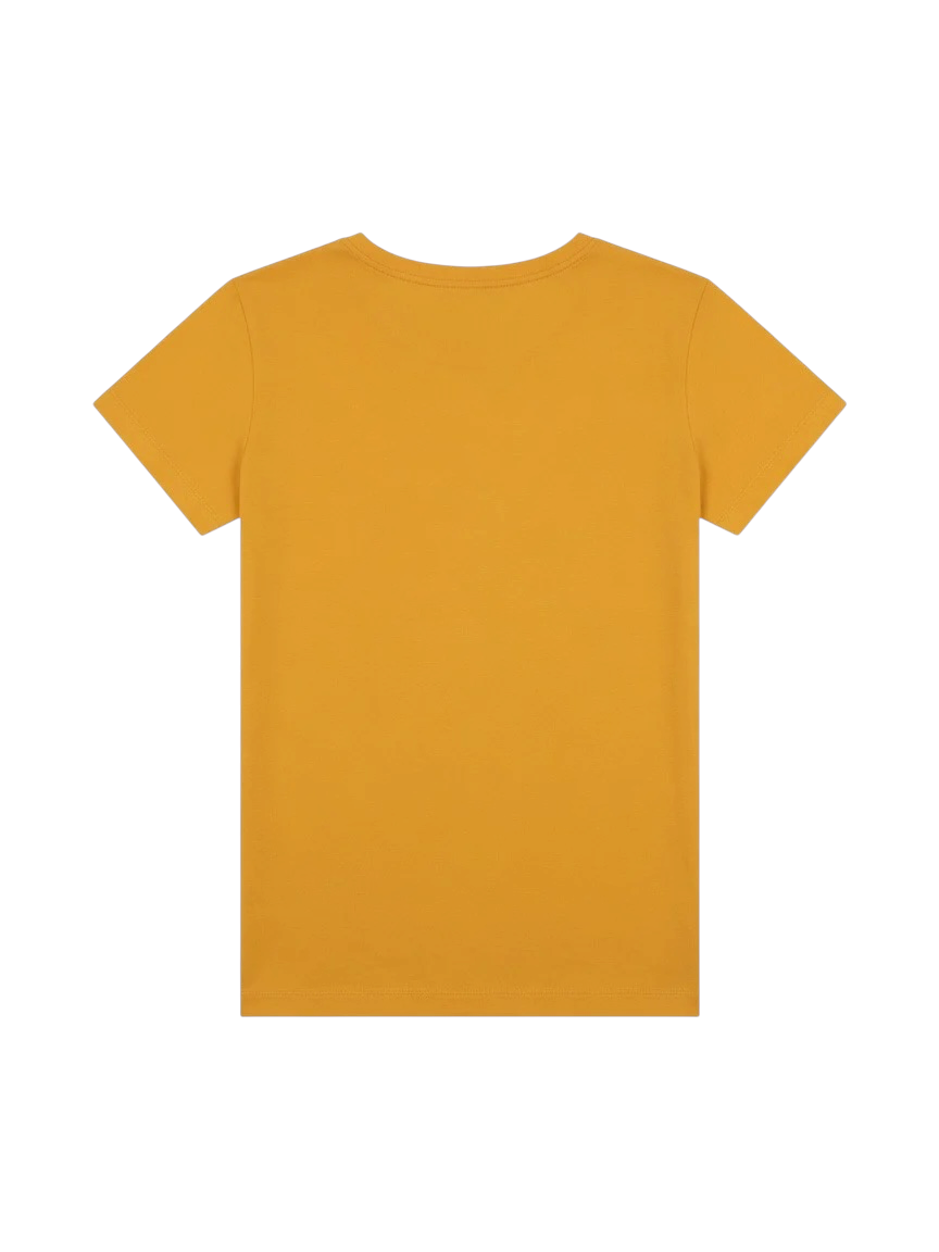 Harley Davidson Orange Graphic T-shirt