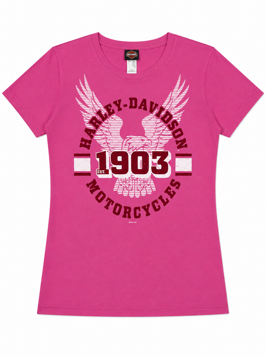 Harley Davidson Graphic T-Shirt