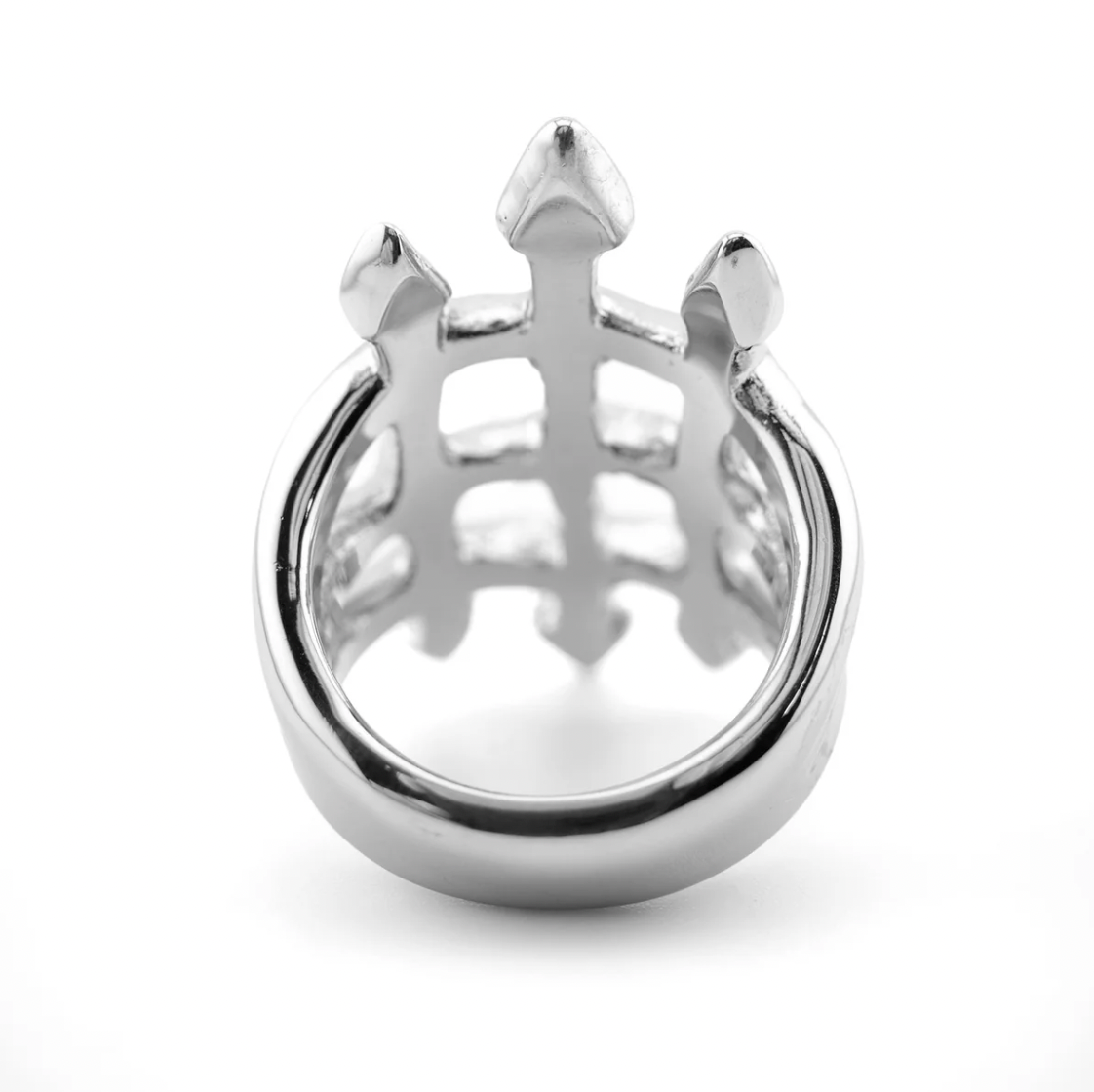 Personal Fears Cathedral Ring